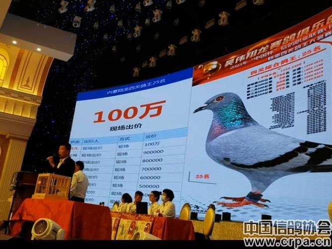中国杯赛鸽拍卖