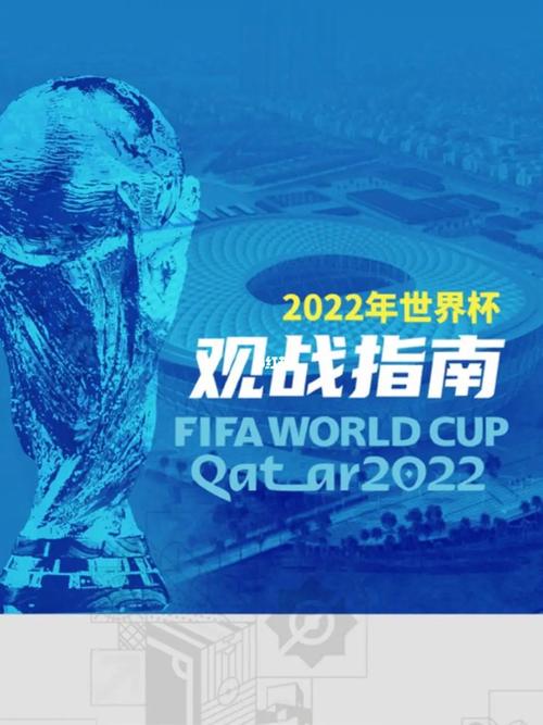 FIFA发布卡塔尔世界杯报告的相关图片