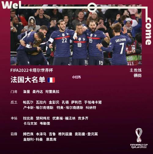 法国欧洲杯名单的相关图片